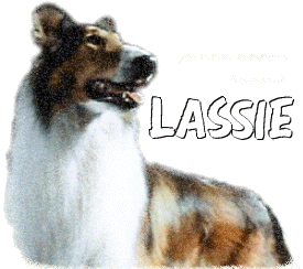 Lassie Online